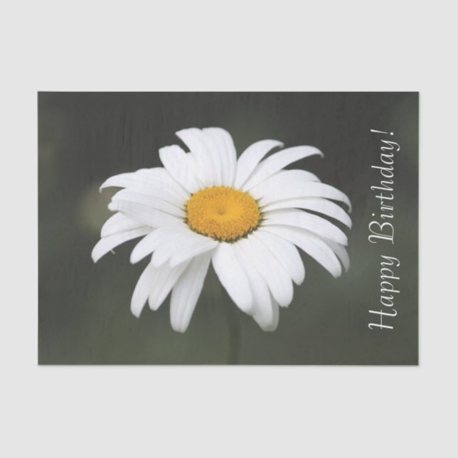 Happy Birthday Daisy Tissue Seidenpapier (Vorderseite)