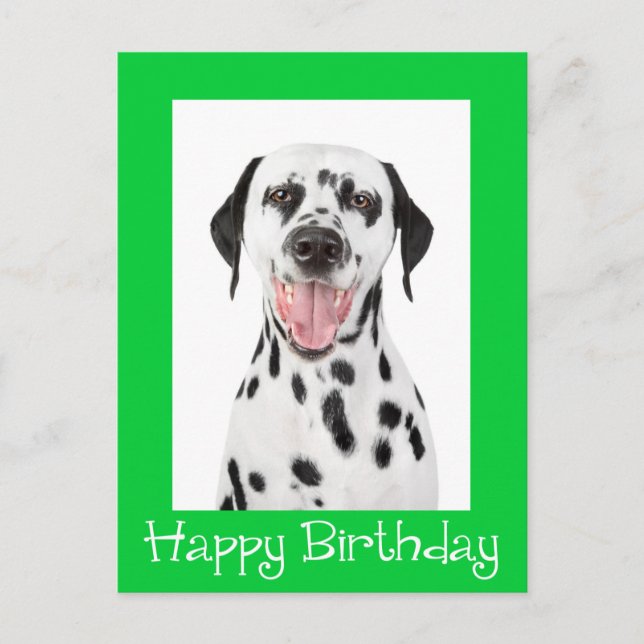 Happy Birthday Dalmatiner Puppy Dop Card Postkarte (Vorderseite)