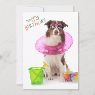 Happy Birthday Dawg Beach Pool Dog in Sonnenbrille Feiertagskarte