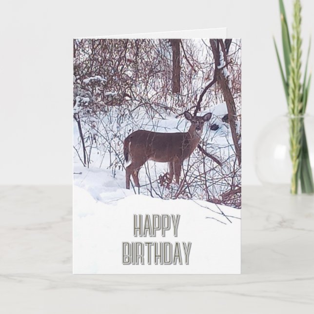 Happy Birthday Deer Foto Nature Card Karte (Vorderseite)