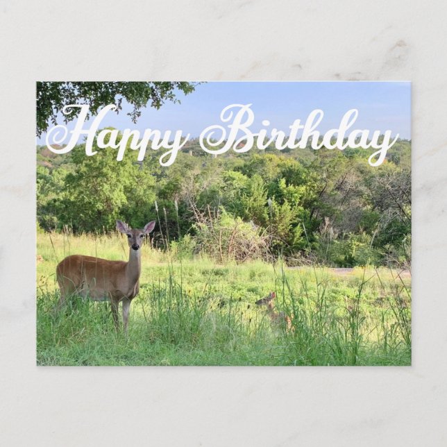 Happy Birthday Deer Fotografie Schöne Natur Postkarte (Vorderseite)