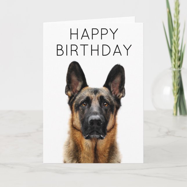 Happy Birthday | Deutscher Schäferhund Karte (Vorderseite)