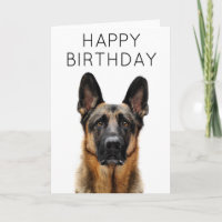 Happy Birthday | Deutscher Schäferhund