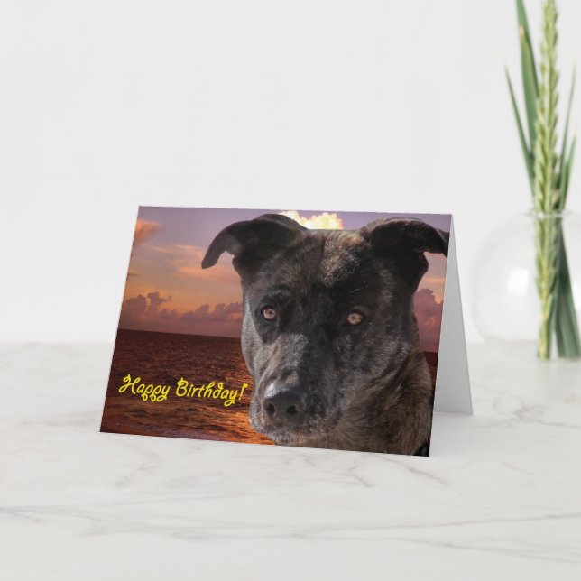 Happy Birthday Dog Karte (Vorderseite)