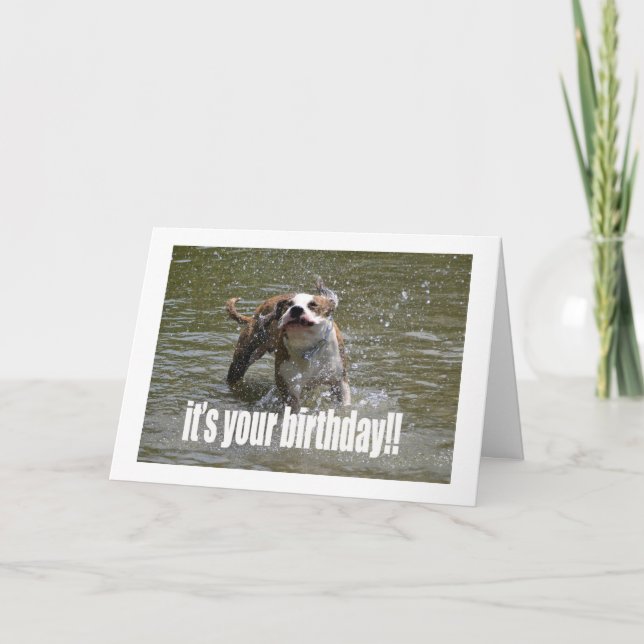 HAPPY BIRTHDAY DOG LOVER CARD KARTE (Vorderseite)