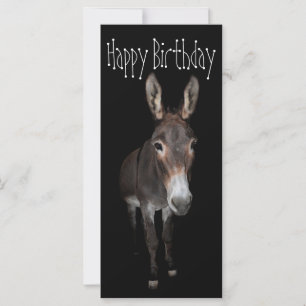 Happy Birthday Donkey Karte