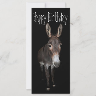 Happy Birthday Donkey Karte