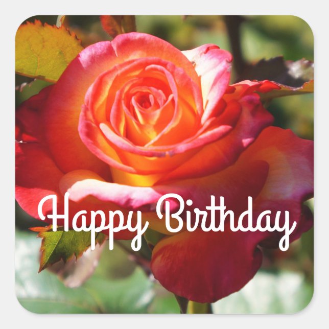 Happy Birthday Dream Come True Rose #2 Stickers (Vorderseite)
