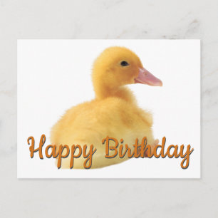 Happy Birthday Duckling Postkarte