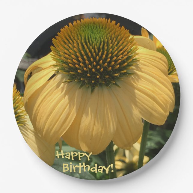 Happy Birthday Echinacea Pappteller (Vorderseite)