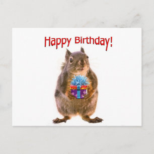 Happy Birthday Eichhörnchen mit Gegenwart Postkarte