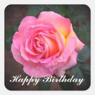 Happy Birthday Elle Rose #3 Stickers