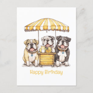 Happy Birthday Englische Bulldoggen Limonadenstand Postkarte