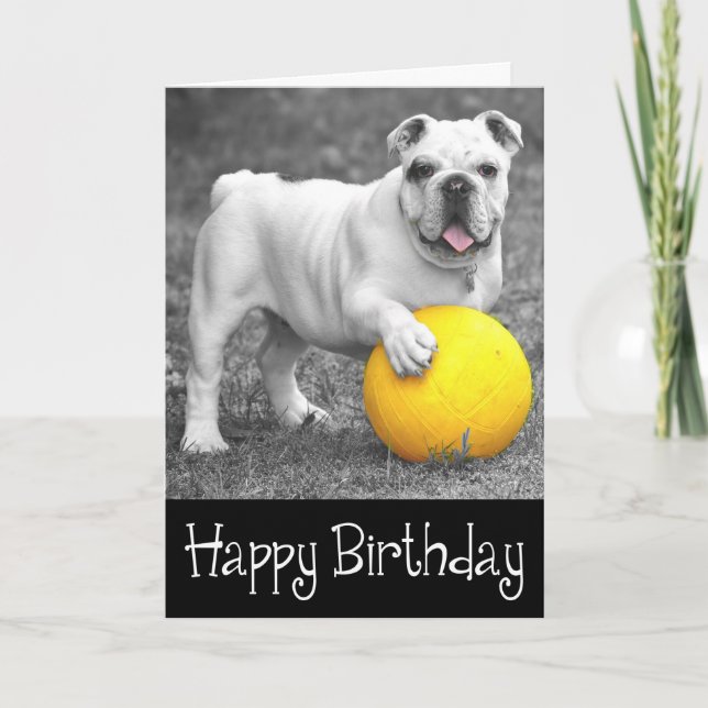 Happy Birthday English Bulldog Puppy Dog Karte (Vorderseite)