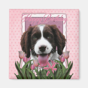 Happy Birthday - English Springer Spaniel - Baxter Magnet