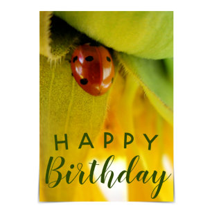 "Happy Birthday"-Enthusiastische Ladybug-Karte Karte