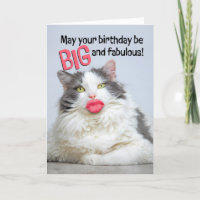Happy Birthday Fabelous Katze mit großen menschlic