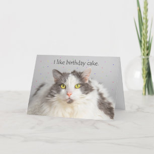 Happy Birthday Fat Cat Likes Birthday Cake Feiertagskarte
