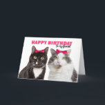 Happy Birthday Female Friend Niedlich Cats in Pink Feiertagskarte<br><div class="desc">Diese zwei gal pal Kätzchen in passenden rosa Haarbändern sind eine bezaubernde Möglichkeit,  um Ihre besondere Freundin lassen,  dass Sie ihr einen puren Geburtstag wünschen!</div>