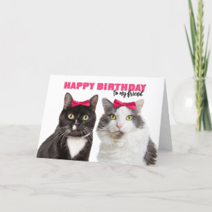 Happy Birthday Female Friend Niedlich Cats in Pink Feiertagskarte