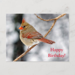 Happy Birthday Female Northern Kardinal Postcard Postkarte