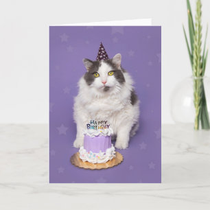 Happy Birthday Fett Katze mit Spaß Feiertagskarte