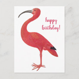Happy Birthday Flamingo Vintage Kunst, Dichtung un Postkarte