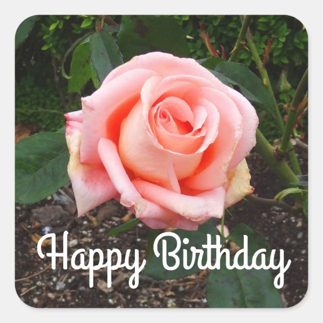 Happy Birthday Folklore Rose #1 Stickers (Vorderseite)