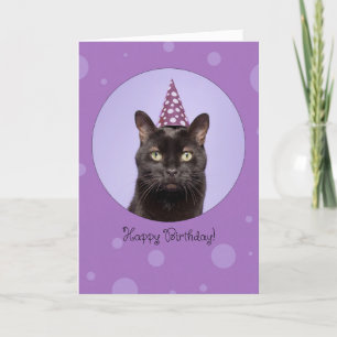 Happy Birthday For Anyone Funny Cat in Party Hat Feiertagskarte