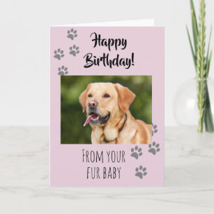 Happy Birthday Foto Hund Katze Pet Fur Baby Karte
