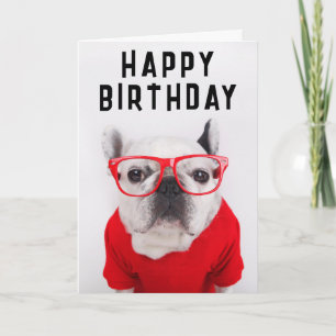 Happy Birthday   Französischer Bulldog mit Brille Karte