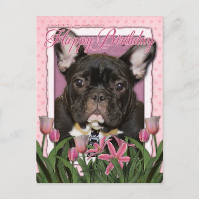 Happy Birthday - French Bulldog - Aquamarin Postkarte (Vorderseite)
