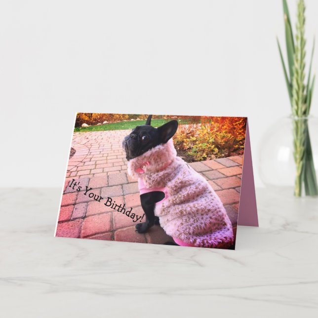 Happy Birthday French Bulldog Karte (Vorderseite)