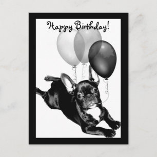 Happy Birthday French Bulldog Postkarte