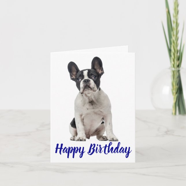 Happy Birthday French Bulldog Puppy Dog Frenchie Karte (Vorderseite)