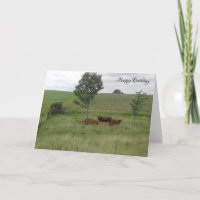 Happy Birthday Friedlich Day Cows in Field Card