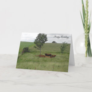 Happy Birthday Friedlich Day Cows in Field Card Karte
