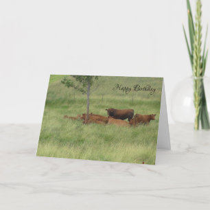 Happy Birthday Friedlich Day Cows in Field Card Karte