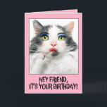Happy Birthday Friend Funny Cat in Make Up Feiertagskarte<br><div class="desc">Erzählen Sie Ihrem Freund,  sich "angepeilt" zu machen und den Tag zu genießen,  um zu glänzen und zu glänzen mit dieser unglaublich witzig Katze in lebendigen Make-up,  der gerade rot Lippenstift angewendet hat,  wenn Sie wünschen,  sie einen glücklichen Geburtstag!</div>