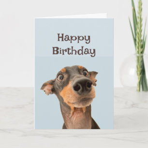 Happy Birthday Friend Funny Dog Grumpy Old Man Karte