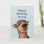 Happy Birthday Friend Funny Dog Spaß Card Karte<br><div class="desc">Herzlichen Glückwunsch zum Geburtstagsfreund,  wir haben viel gemeinsam durchgemacht und das meiste war Ihre Schuld. niedlich traumatisiert aussehender Hund</div>