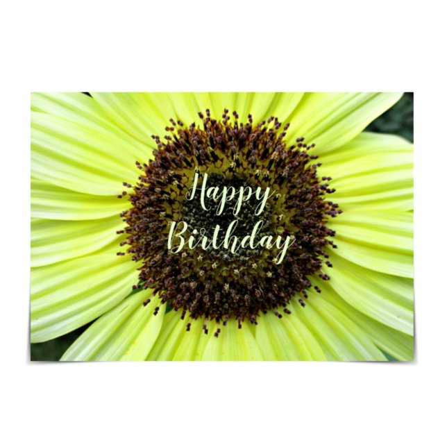 "Happy Birthday" fröhliche Sonnenblumenkarte Karte (Von Creator hochgeladen)