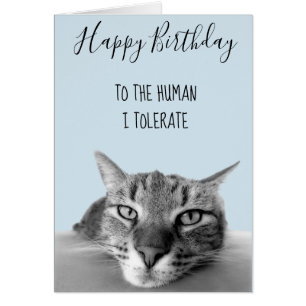 Happy Birthday From Cat to Human Ich toleriere Fun