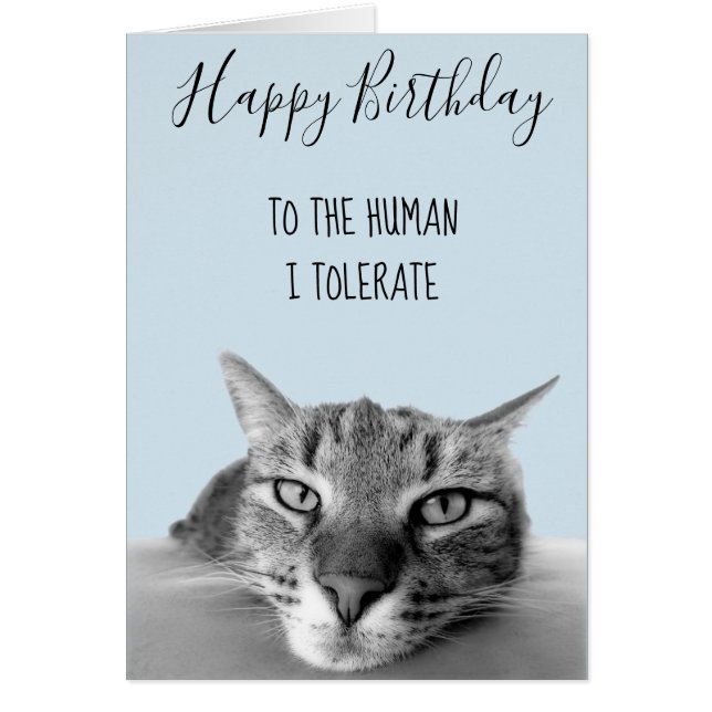 Happy Birthday From Cat to Human Ich toleriere Fun (Vorne)