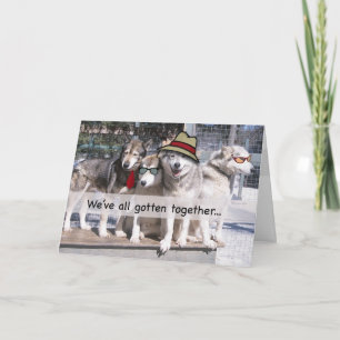 Happy Birthday from the Group, Huskies Karte