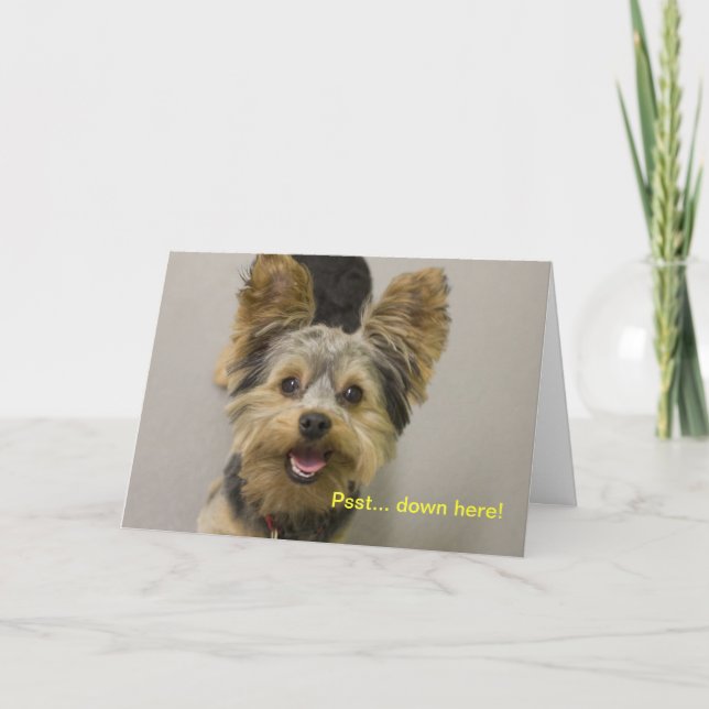 Happy Birthday from the little one. Karte (Vorderseite)