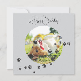 Happy Birthday from Your Furry Friend 2 Photos   Karte