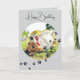 Happy Birthday from Your Furry Friend 2 Photos   Karte