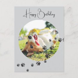 Happy Birthday from Your Furry Friend 2 Photos   Postkarte