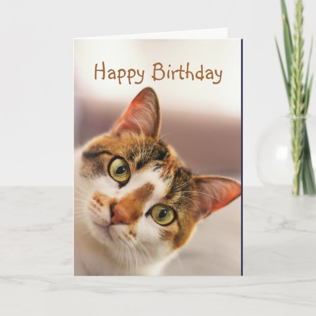Happy Birthday Fun Cat Kitten Pop in Karte (Vorderseite)